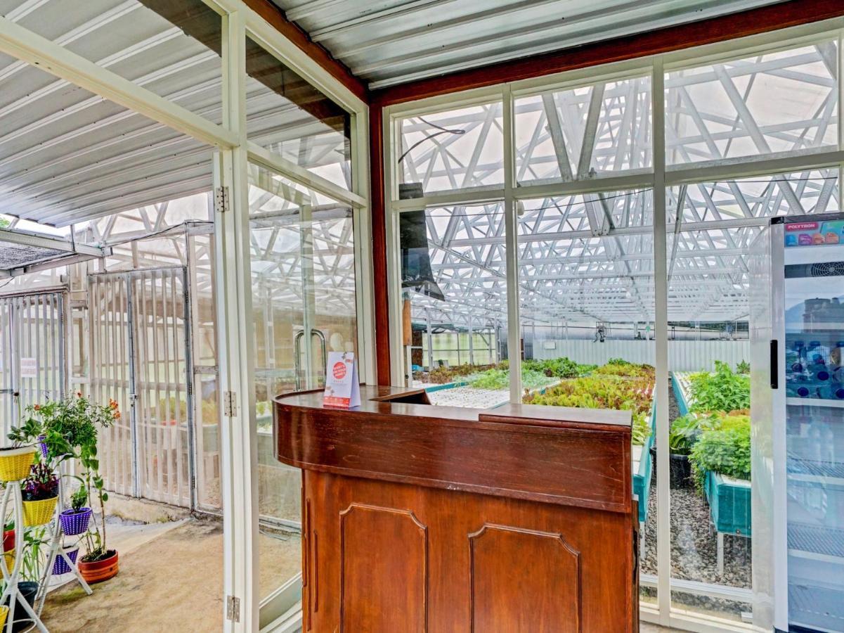 OYO 90225 Rumah Bambu Trawas syariah Pasuruan Bagian luar foto